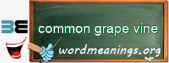 WordMeaning blackboard for common grape vine